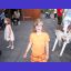 Bild 69
