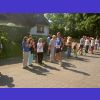 Bild 31