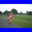 Bild 51