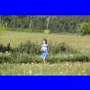 Bild 16